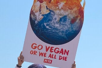 Ist vegan schlecht für Umwelt 6 Mythen im Faktencheck