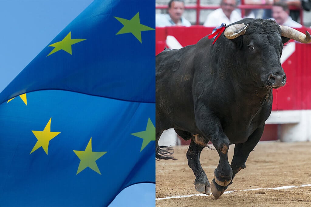 Collage EU-Flagge und Stier