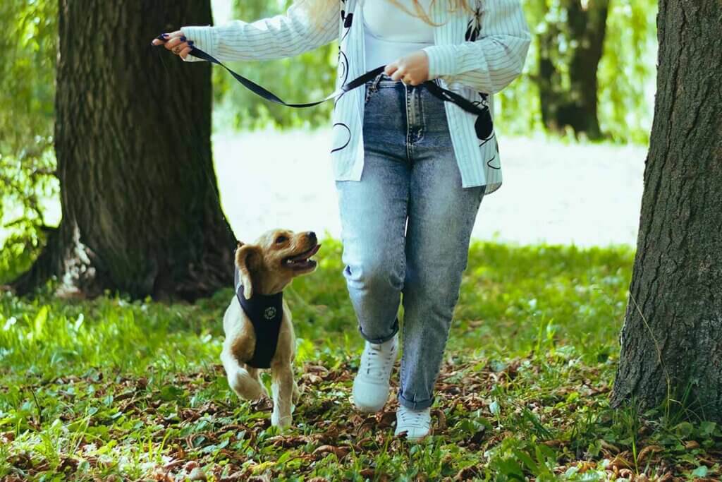 Eine Frau geht mit einem Hund an der Leine ueber eine Wiese.