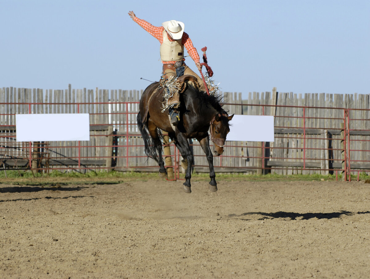 Rodeo: Tierquälerei beim Rodeo, Bullenreiten & Co.