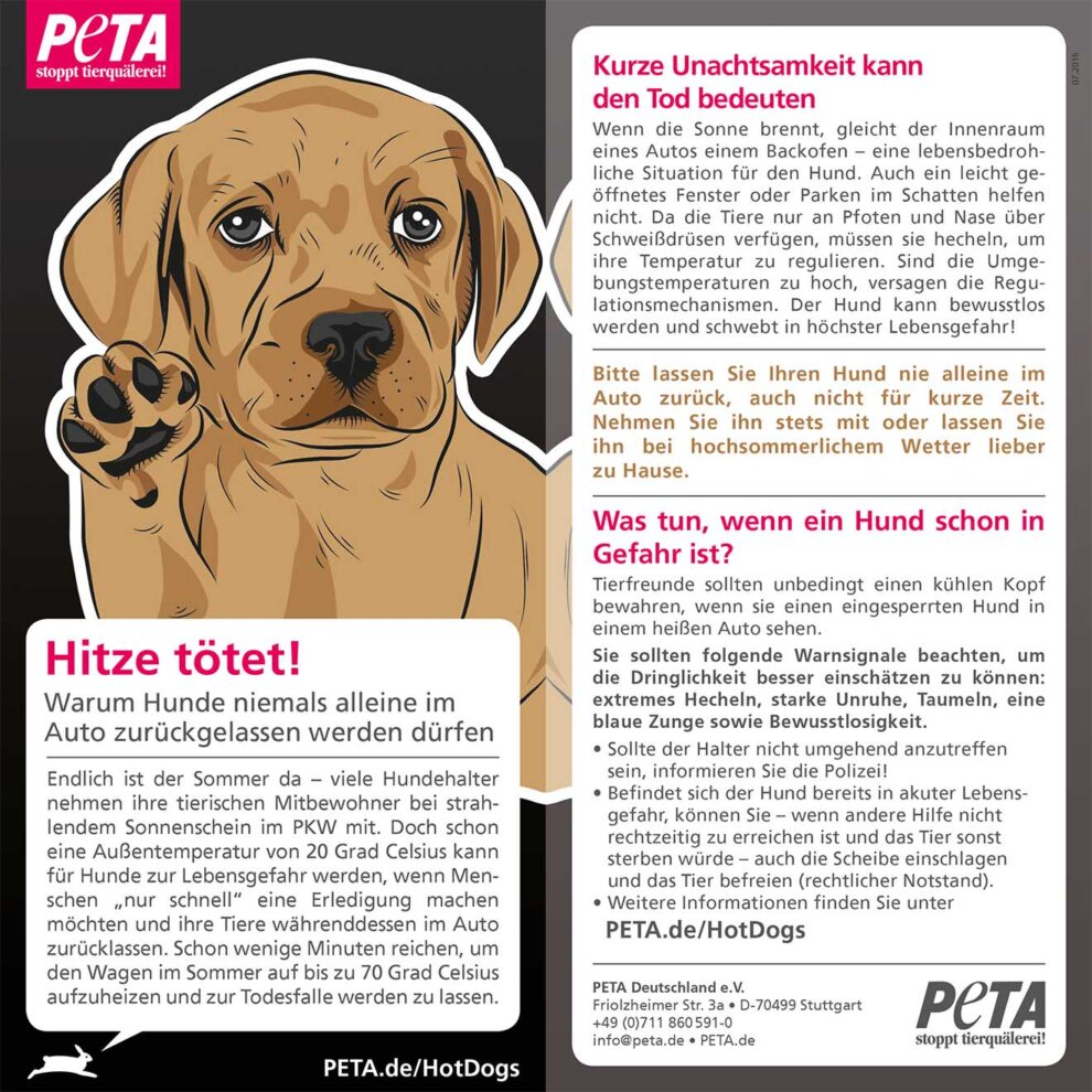 Hund bei Hitze im Auto So können Sie helfen PETA Deutschland e.V.