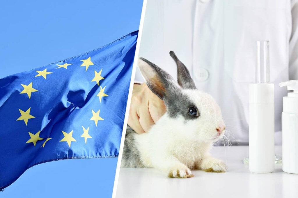 Collage EU Flagge und Hase im Labor