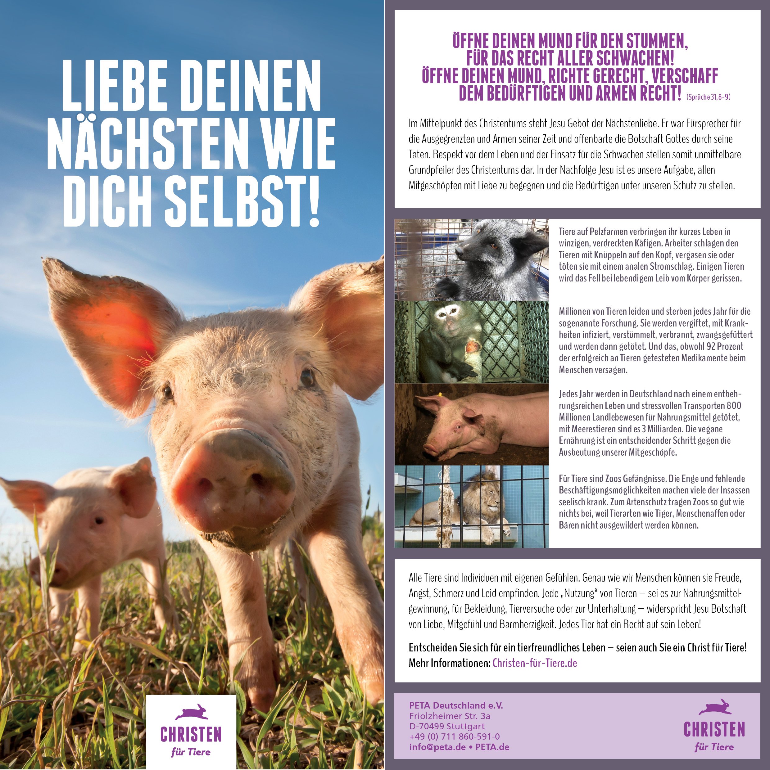 Christen Fur Tiere Appelliert Zur Fastenzeit An Gemeinde In Stralsund Vegan Leben Und So Den Respekt Vor Der Schopfung Gottes Wahren Peta Deutschland E V