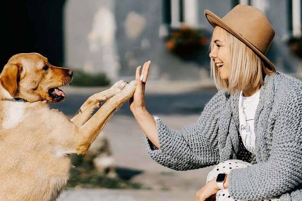 Eine Frau haelt die Pfoten eines Hundes.