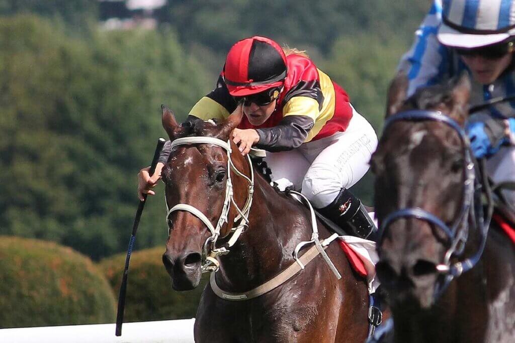 Jockeys reiten auf Pferden