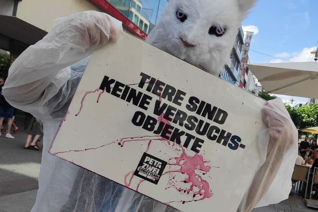 Demonstrant mit Hasenmaske