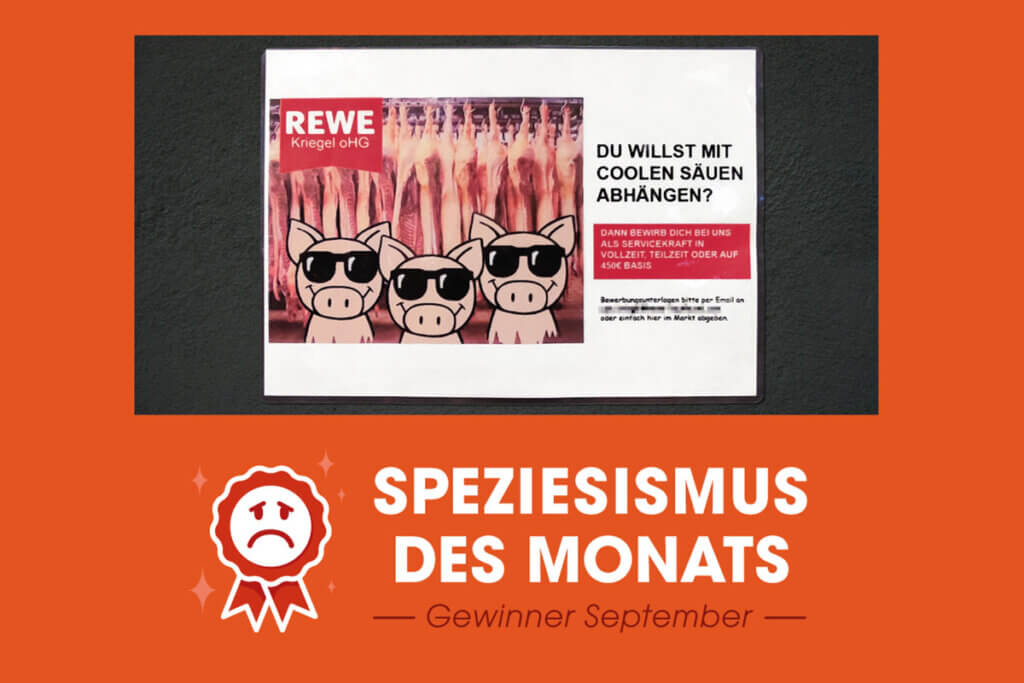 Speziesismus des Monats September