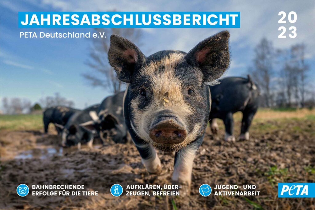 PETA Jahresbericht 2023 Titelbild