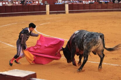 Matador kaempft mit Stier in einer Arena