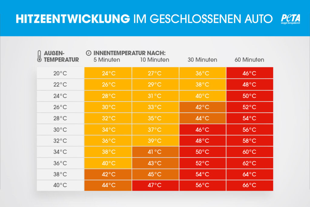 Grafik Hitzeentwicklung im geschlossenen Auto