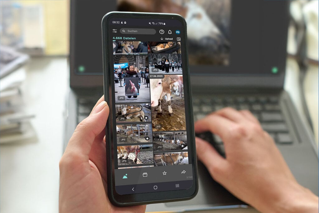 Ein Mensch hält Handy in der Hand mit Tierqual Bilder und bearbeitet etwas am Laptop parallel.