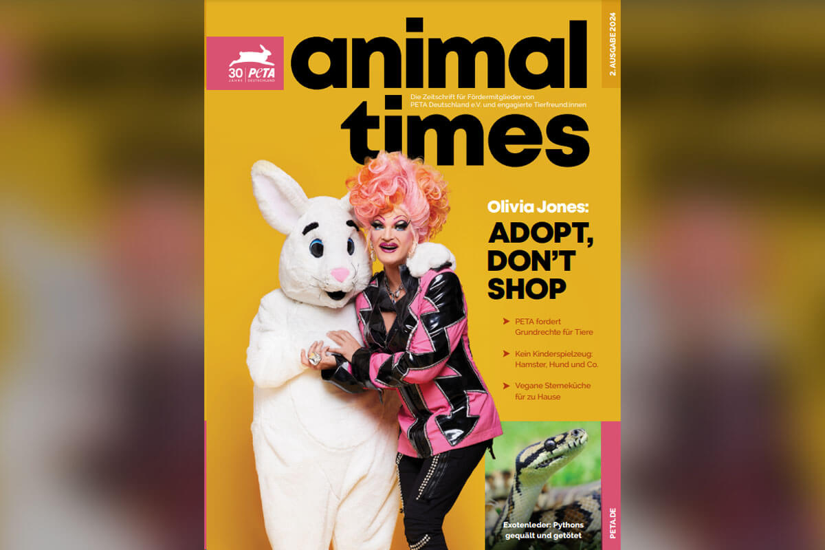 Animal Times Cover