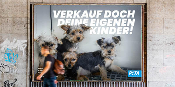 Ein Plakat mit 2 Hunden und der Aufschrift: Verkauf doch deine eigenen Kinder!