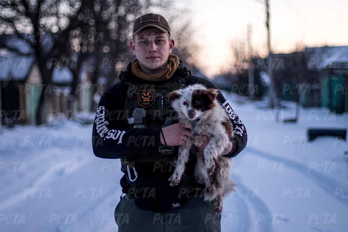 Mensch hält Hund im Arm.