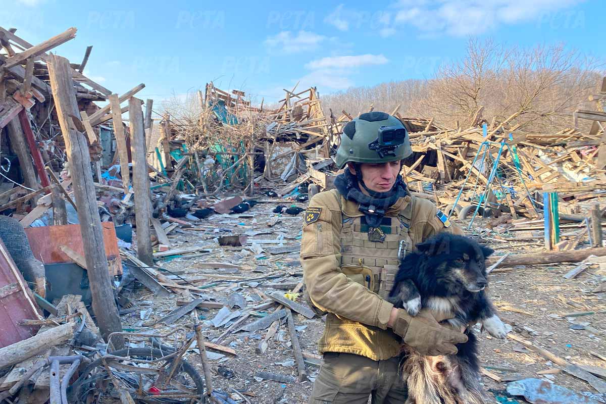 Soldat in Trümmern hält Hund im Arm.