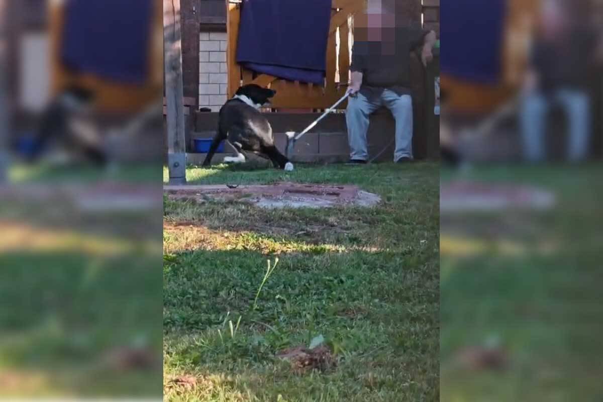 Älterer Mann sitzt auf einer Mauer und schälgt Hund mit Besen.