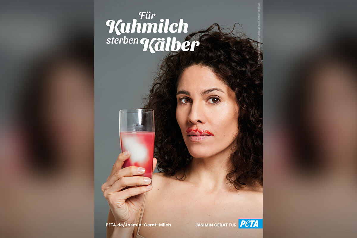 Jasmin Gerat mit provokantem PETA-Motiv: Für Kuhmilch sterben Kälber