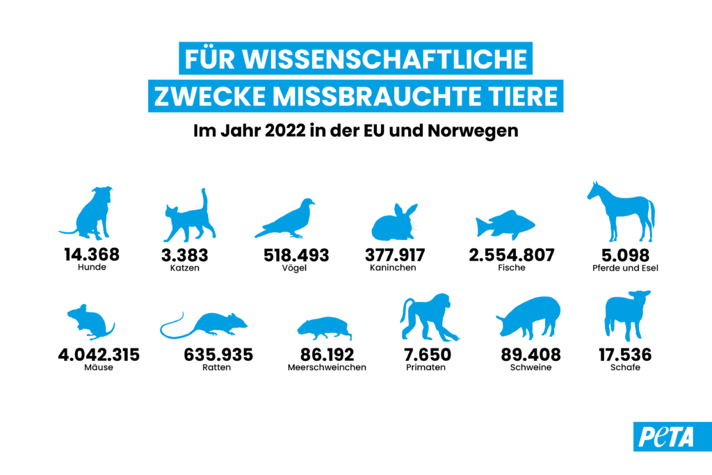 Grafik. Anzahl missbrauchter Tiere nach Tierarten.