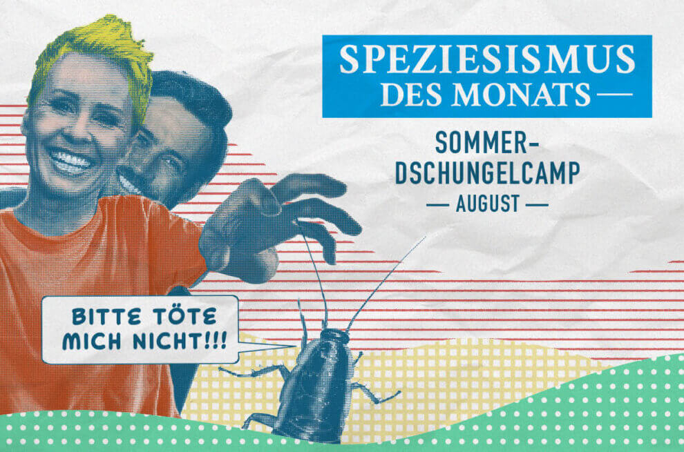 Speziesismus des Monats August - Abgebildet sind die Moderator:innen des Dschungelcamps.