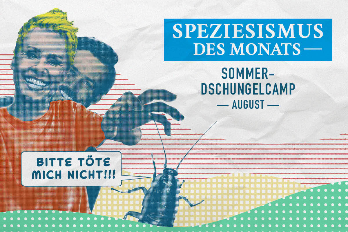 Speziesismus des Monats August - Abgebildet sind die Moderator:innen des Dschungelcamps.