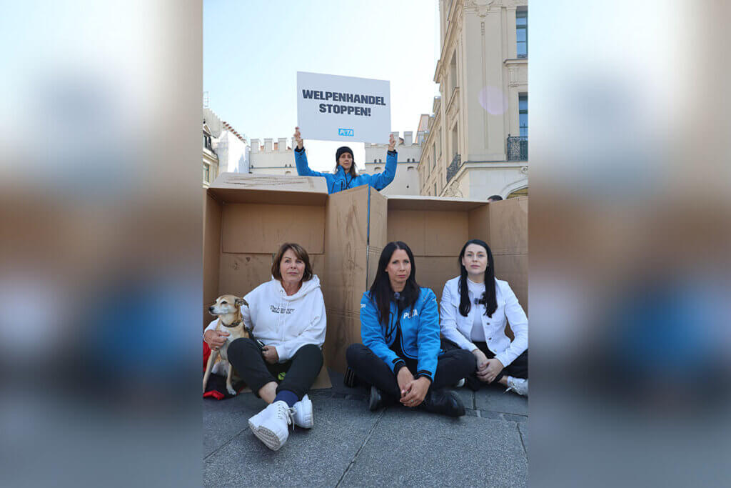 Menschen vor einem Karton während einer Demo