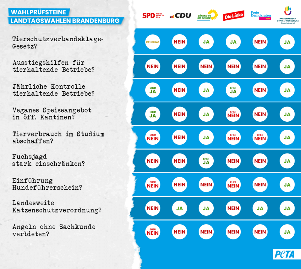 Grafik. Tabelle zu Wahlpruefsteinen Brandenburg Landtagswahlen