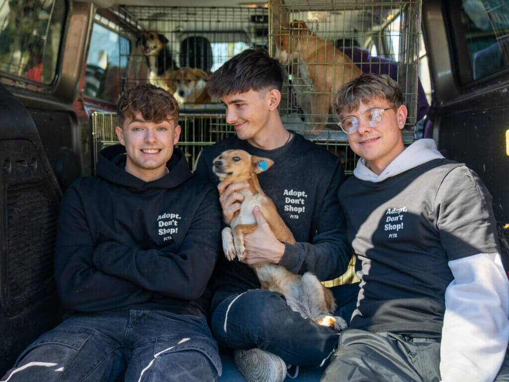 Jonas Ems, Nathan Goldblat und Lewinray im Rettungsvan mit den Hunden. © Niklas Link