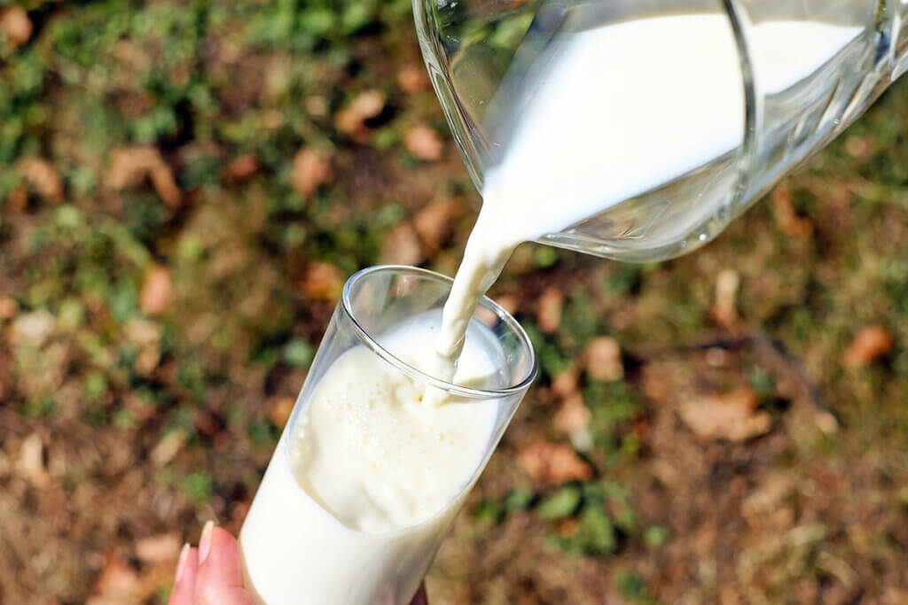 Milch wird von einer Karaffe in ein Glas geschüttet und im Hintergrund sieht man den Herbstboden.