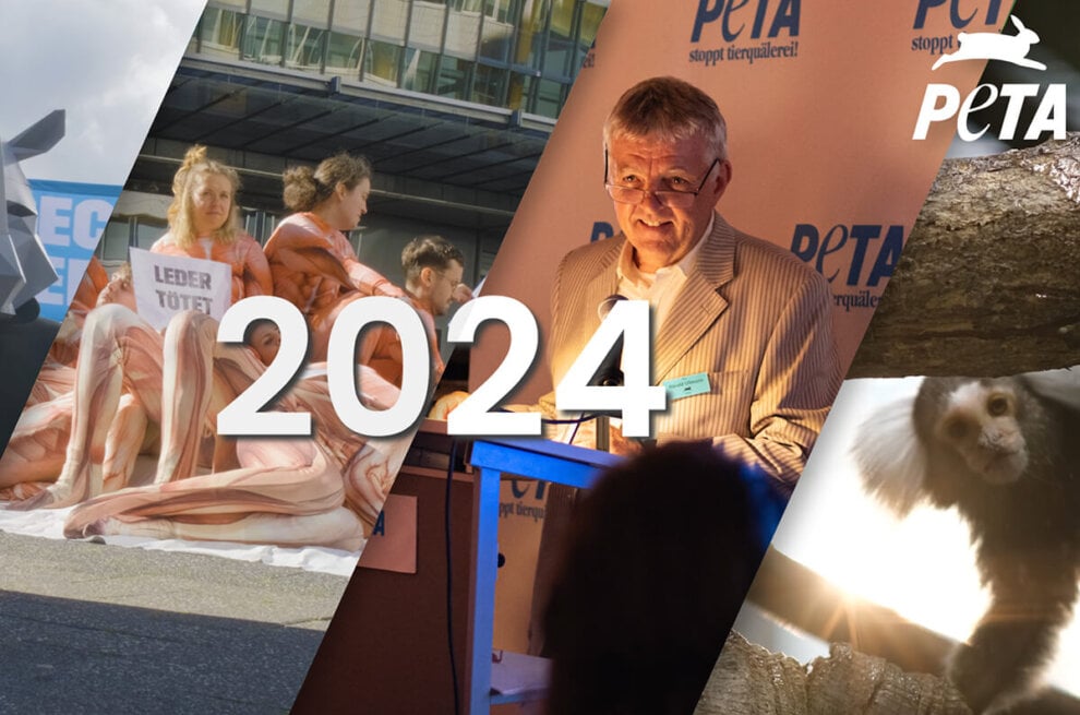 PETA Jahresrueckblick 2024