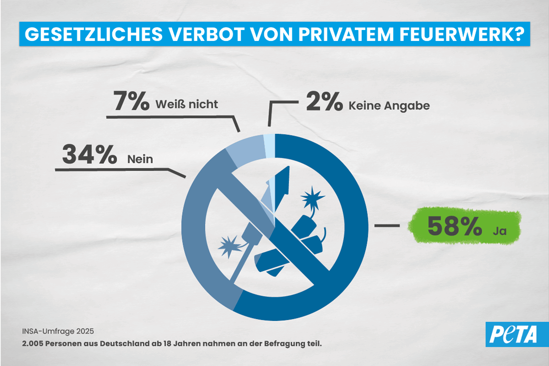 Böllerverbot – Petition und Umfrage: Deutsche fordern Verbot