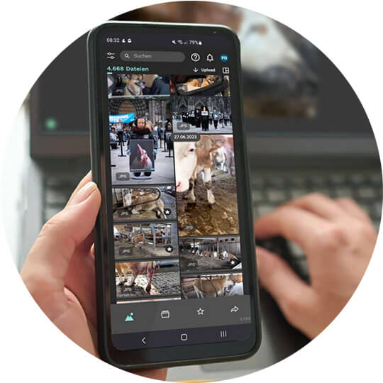 Ein Mensch hält Handy in der Hand mit Tierqual Bilder und bearbeitet etwas am Laptop parallel.